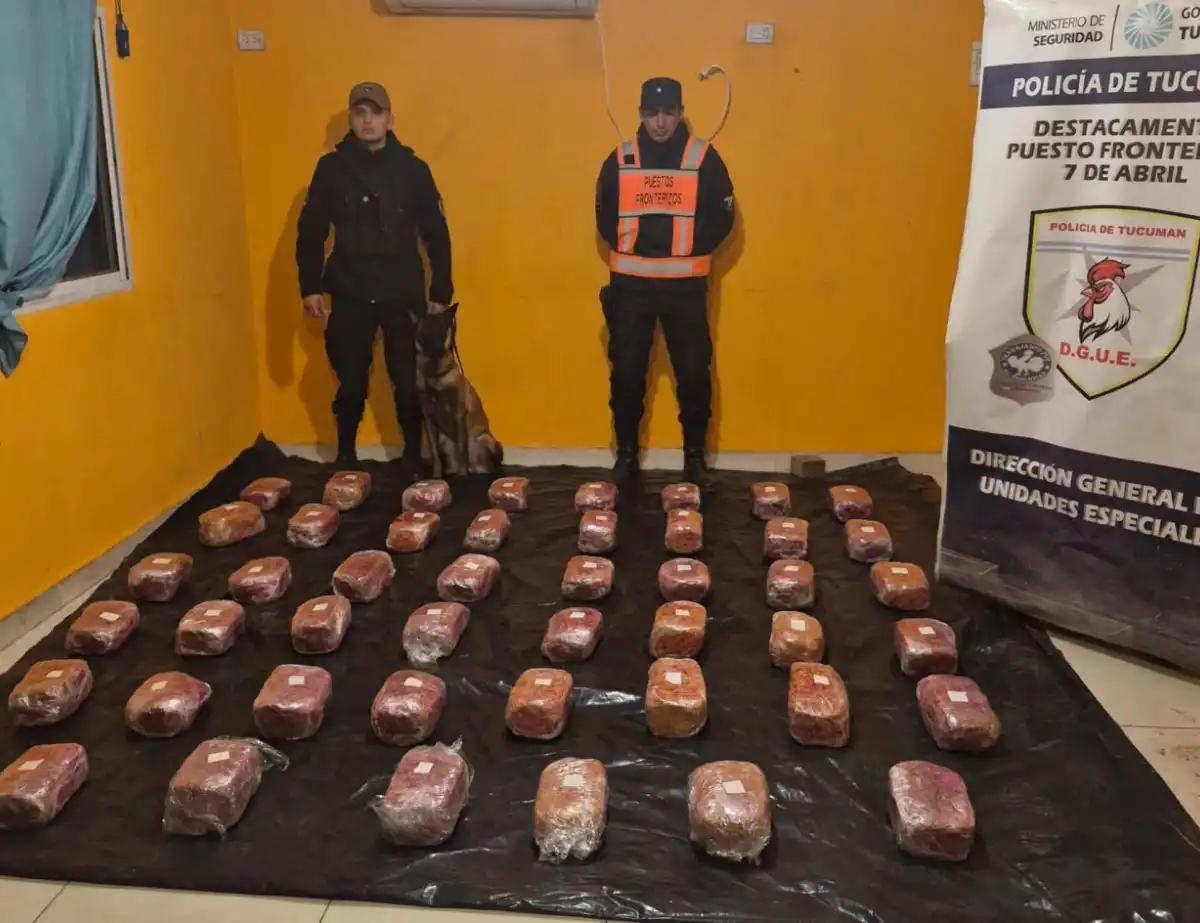 El tráfico de droga por encomiendas se afianza en Tucumán
