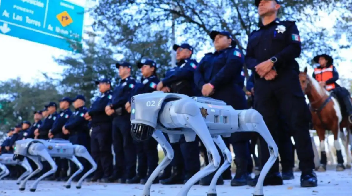 EN PRÁCTICA. Los dispositivos caninos ya realizan tareas en los partidos de Monterrey, equipo que juega en la liga principal de México.