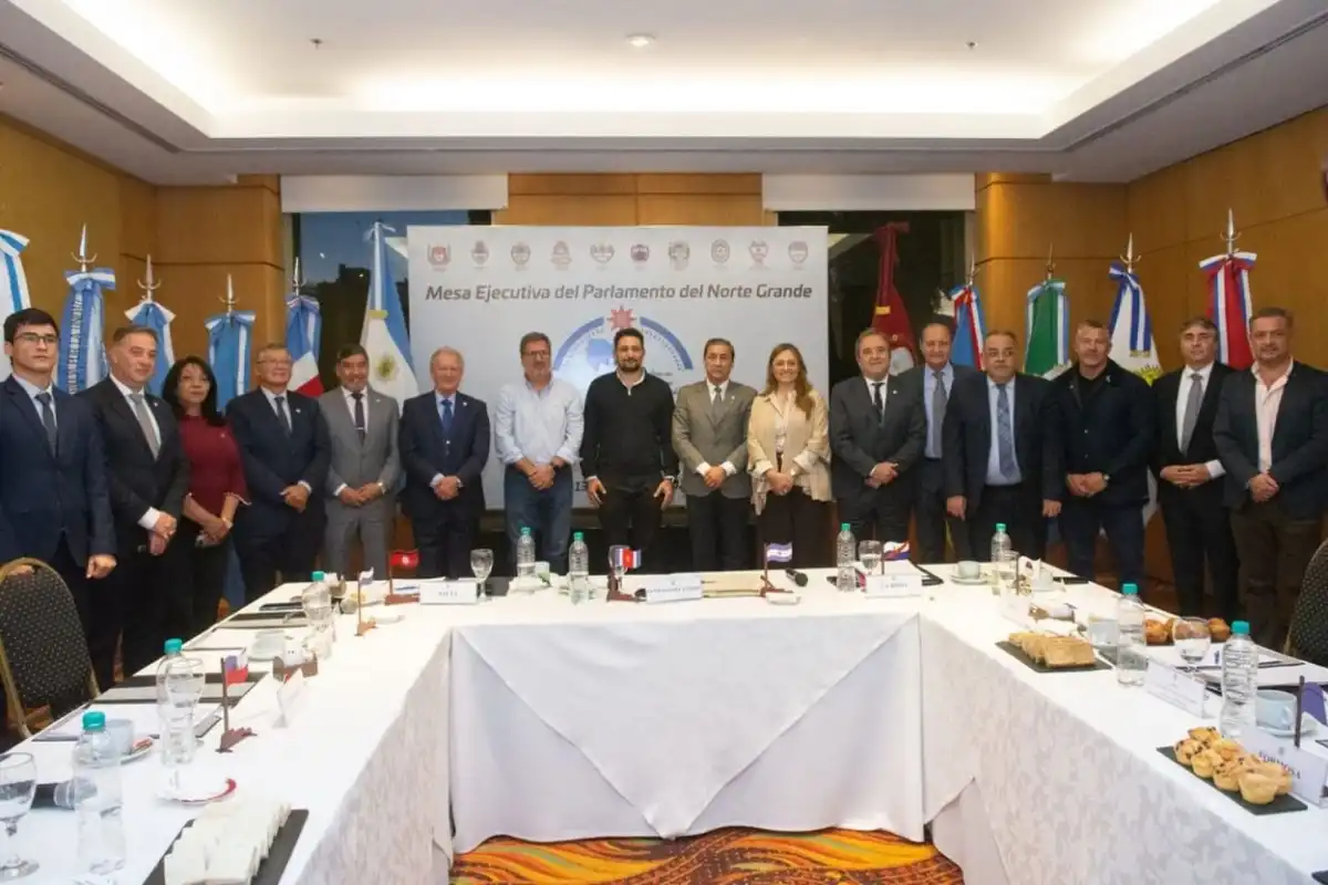 Parlamento del Norte Grande: vicegobernadores piden respuestas por la crisis regional
