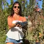 Cómo no va a haber vino en Tucumán si tenemos 18 bodegas”: la nueva presidenta del sector quiere terminar con un mito