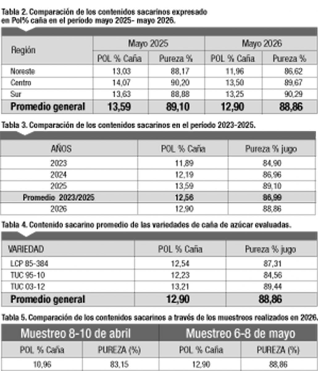 Esta zafra presenta menor maduración que la de 2025