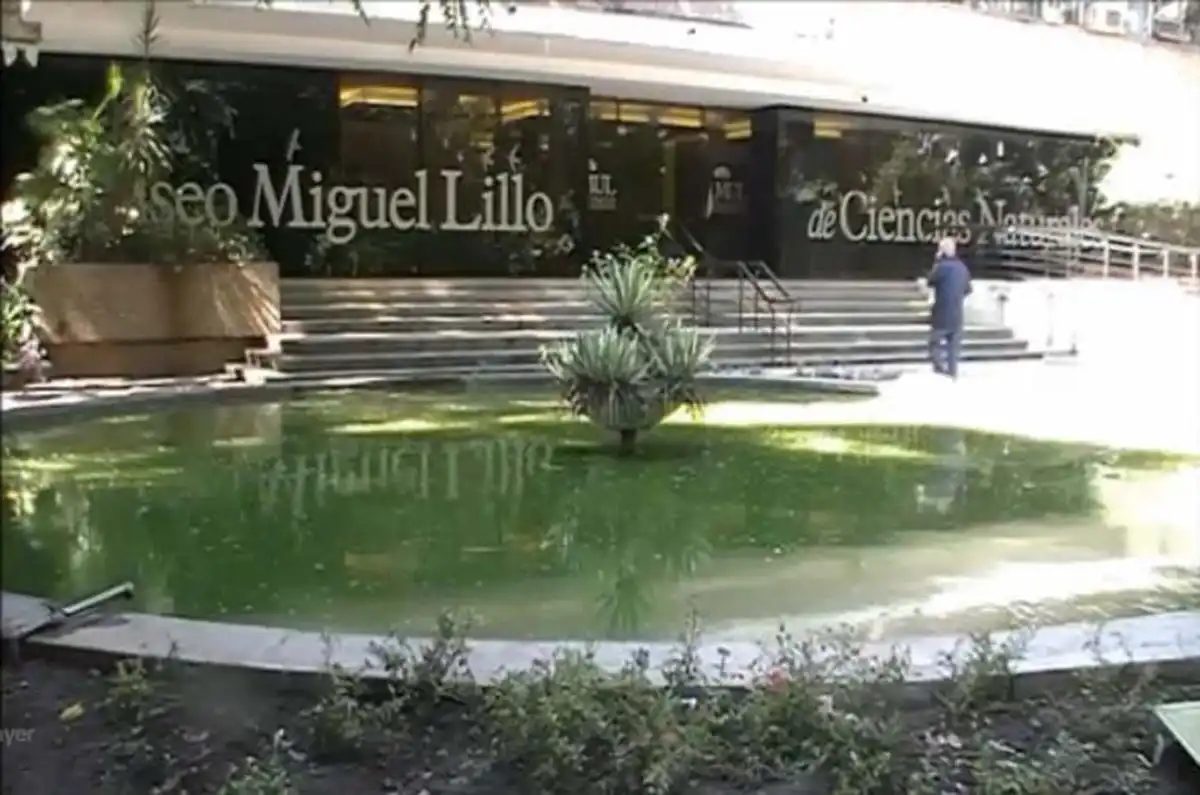 El Instituto Miguel Lillo albergará unas jornadas de paleontología
