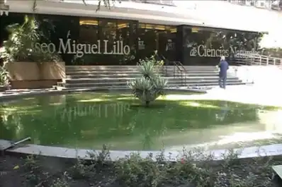 El Instituto Miguel Lillo albergará unas jornadas de paleontología