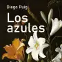 El nuevo libro de Diego Puig: el lujo, el amor y la impunidad tienen color azul