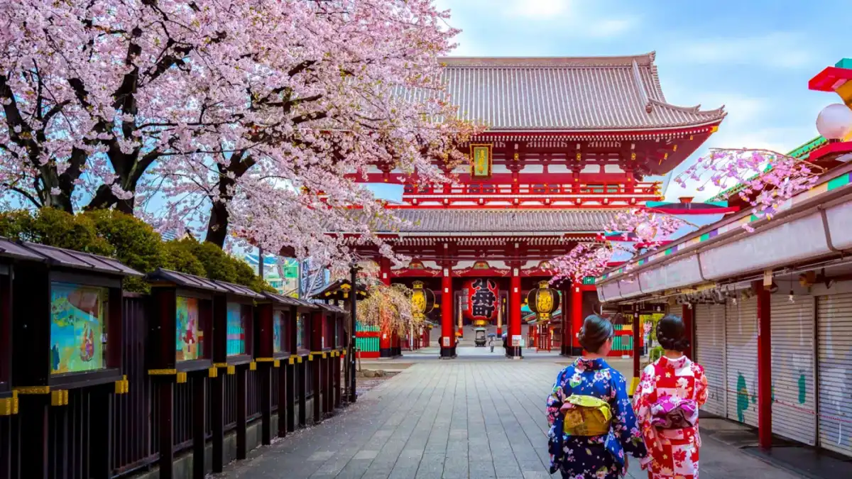Boom de viajes a Japón: el país asiático registra un récord histórico de turistas argentinos