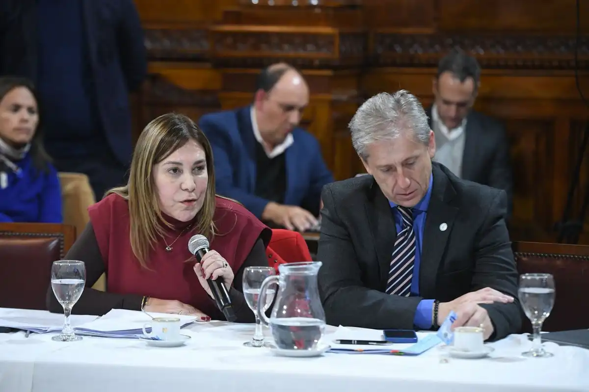 EN REUNIÓN DE COMISIONES. Beatriz Ávila, del Bloque Independencia. 