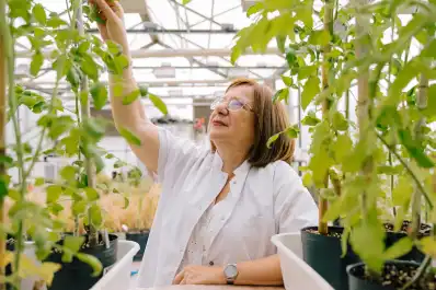 La argentina que creó cultivos resistentes al cambio climático recibió uno de los premios más importantes del mundo