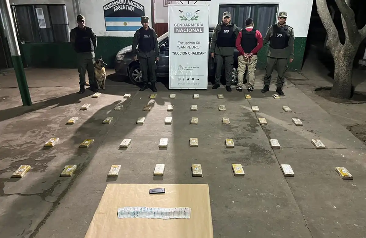 Viajaba a Salta con 42 kilos de cocaína y fue detenido por Doli, la perrita antinarcóticos