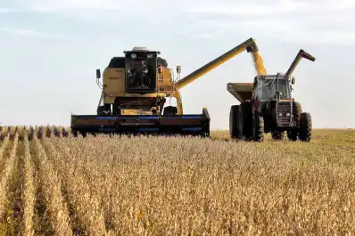 Milei anunció rebajas de retenciones para sectores del agro y la industria