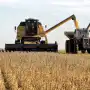 Milei anunció rebajas de retenciones para sectores del agro y la industria