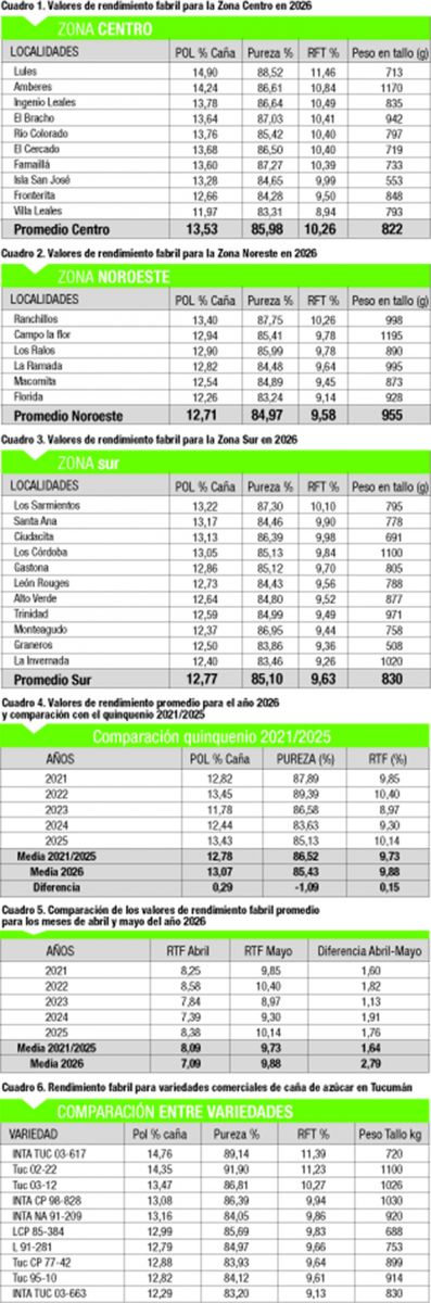 Sector sucroalcoholero: en mayo el rendimiento fabril medio en Tucumán fue de 9,88%
