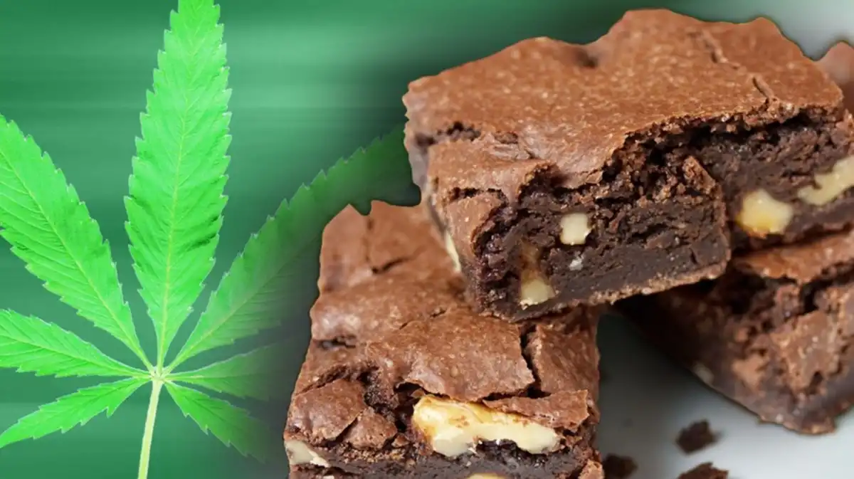 Escándalo en Córdoba: seis estudiantes hospitalizados por consumir brownies con cannabis