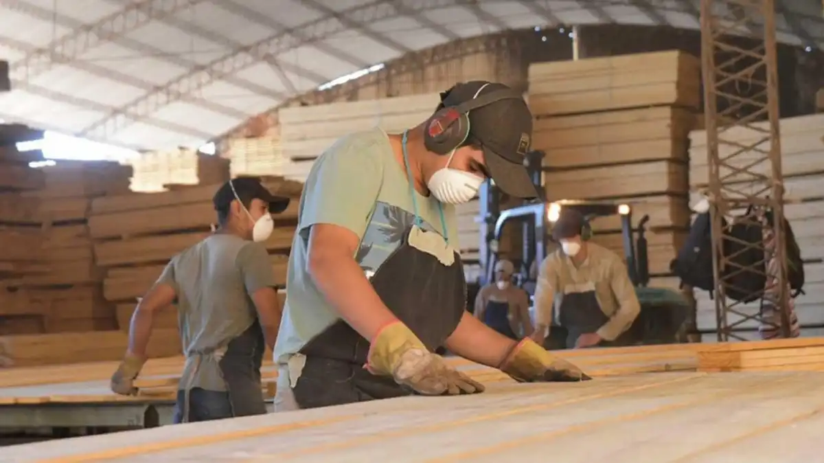 Trabajadores de Linor SRL