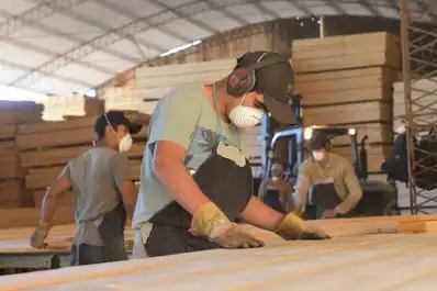 Cerró Linor, una de las principales fábricas de pallets del país: 130 trabajadores quedaron en la calle y crece la tensión en Misiones