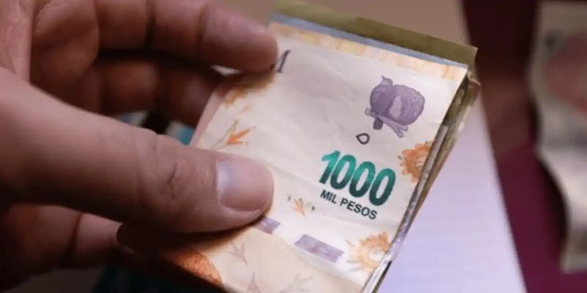 Cuándo se cobra el voucher educativo 2026: así podés verificar el pago en Anses