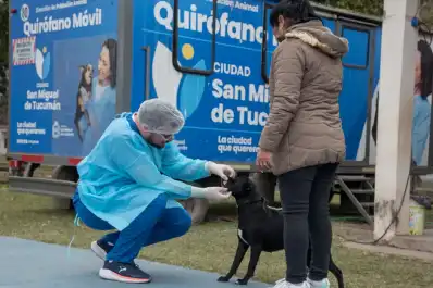 Harán castraciones gratuitas de mascotas en las inmediaciones del Hospital Obarrio