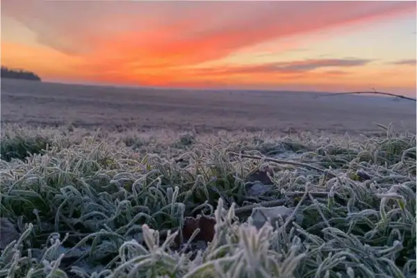 Ola polar en Argentina: qué pasará con el frío y cuál es el pronóstico para la última semana de mayo