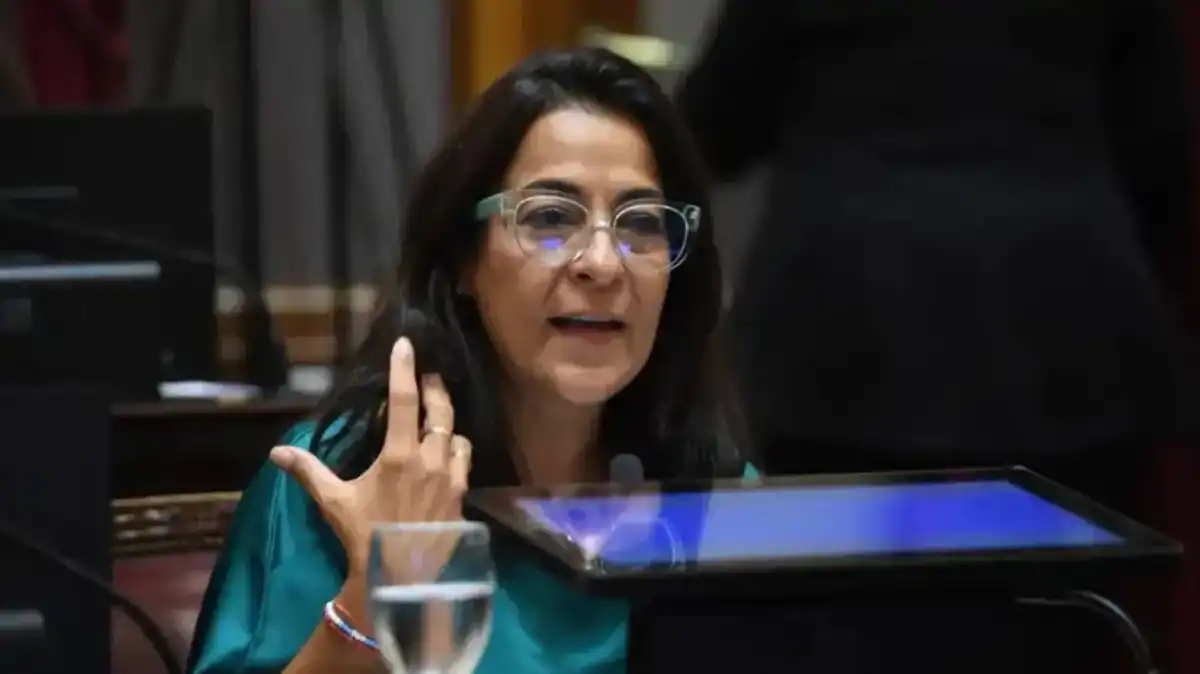 La senadora nacional por Jujuy, Carolina Moisés.