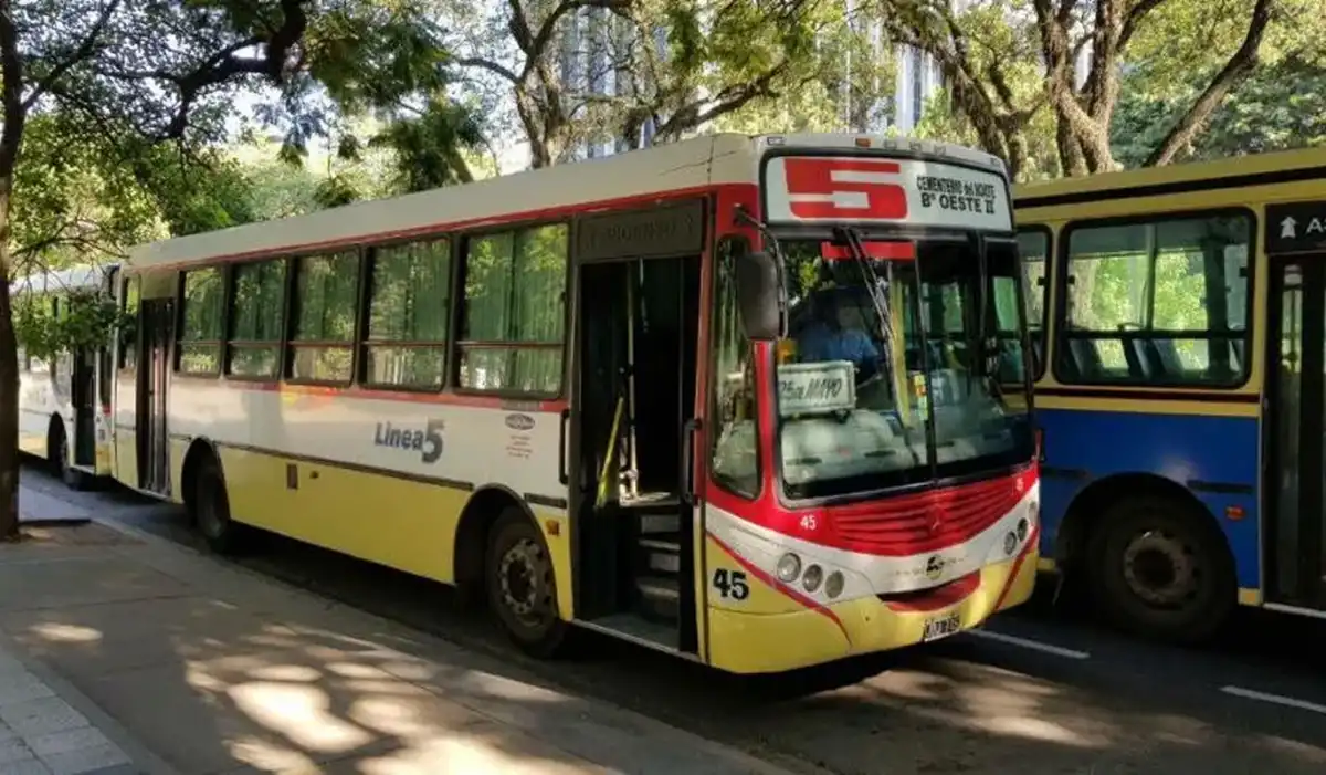 Pasajes gratuitos para personas con discapacidad: qué cambió y cómo gestionar el beneficio