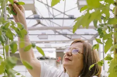 Cartas de lectores: Biotecnología argentina contra el hambre: Doctora Raquel Chan