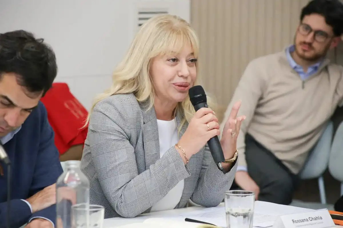 PANEL. La intendenta Chahla expuso junto a pares de otras ciudades.