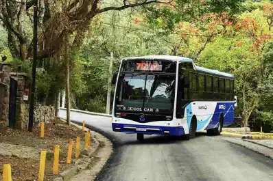 Crisis en el transporte: desde el lunes Salta suspende el servicio nocturno de colectivos