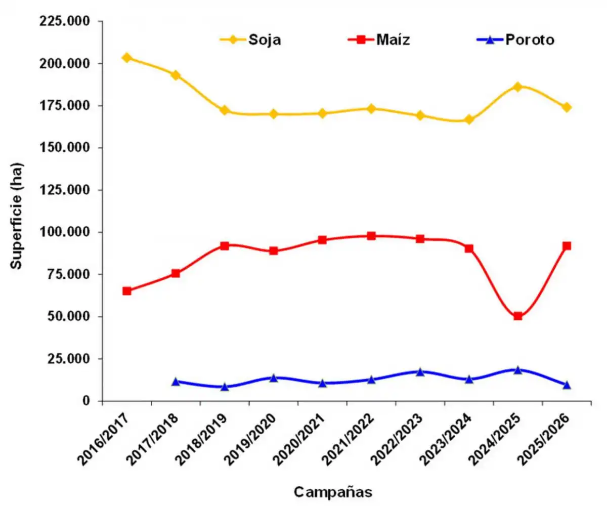 Evolución de la superficie en Tucumán con soja, maíz y poroto en la última década