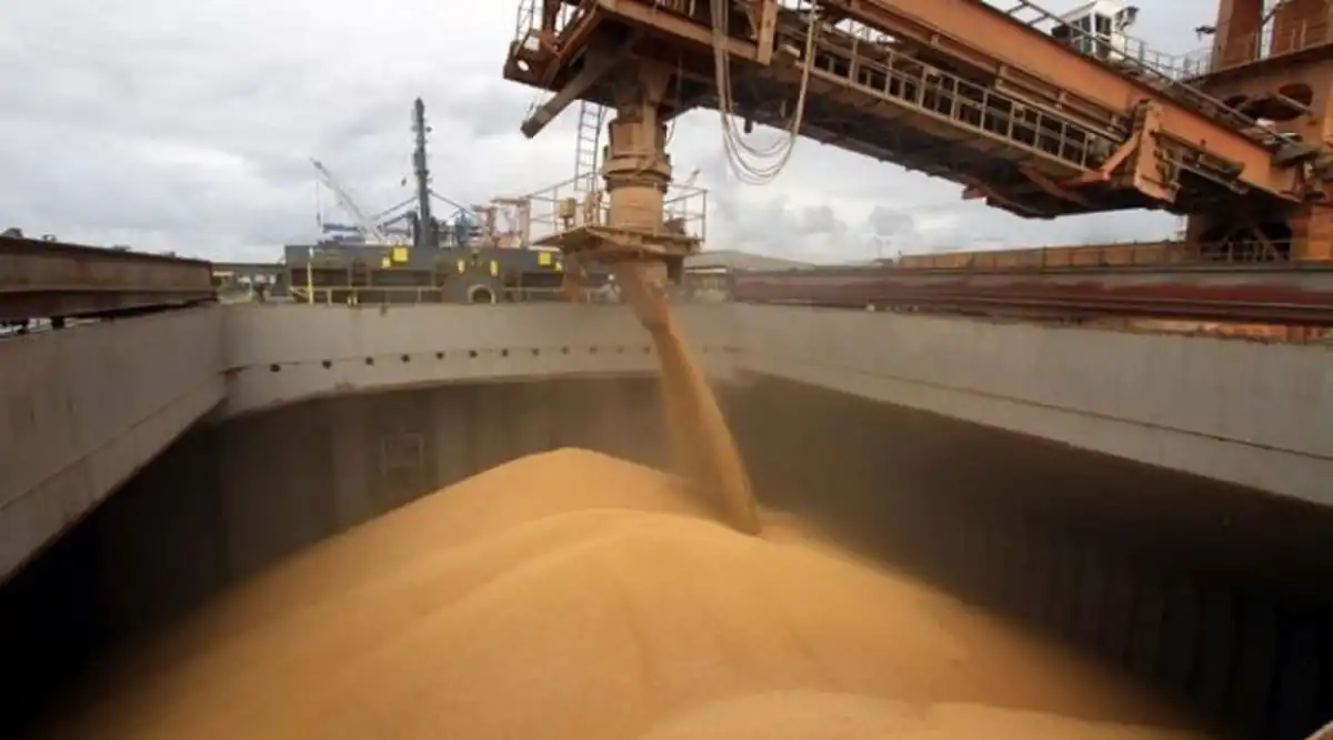 Exportaciones agroindustriales alcanzaron un volumen récord