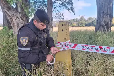 Un descampado, cámaras y un auto prestado: las claves del caso Agostina Vega
