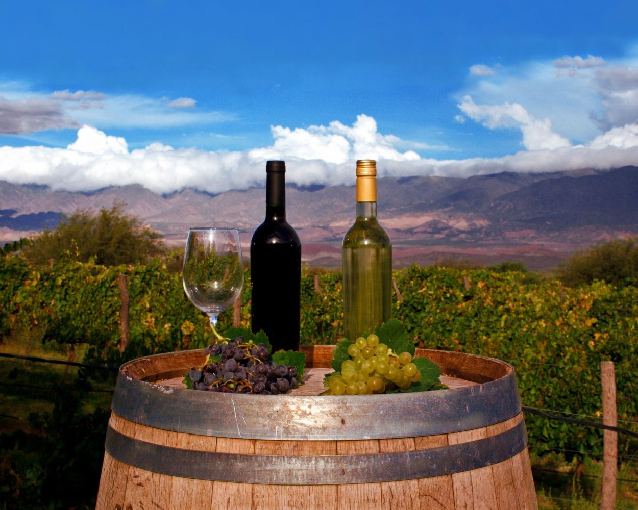 DE PURA CEPA. Las bodegas explicarán a los viajeros todo el proceso.