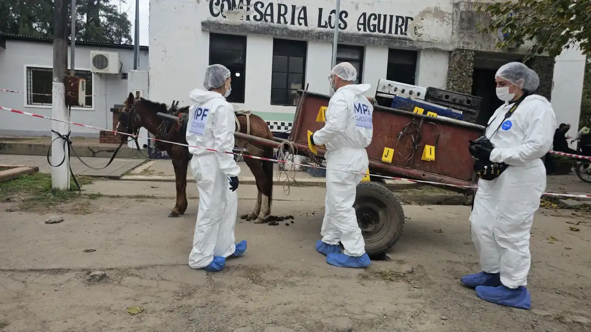 LOS PERITOS ANALIZAN EL LUGAR DONDE FUE HALLADO EL CADÁVER. 