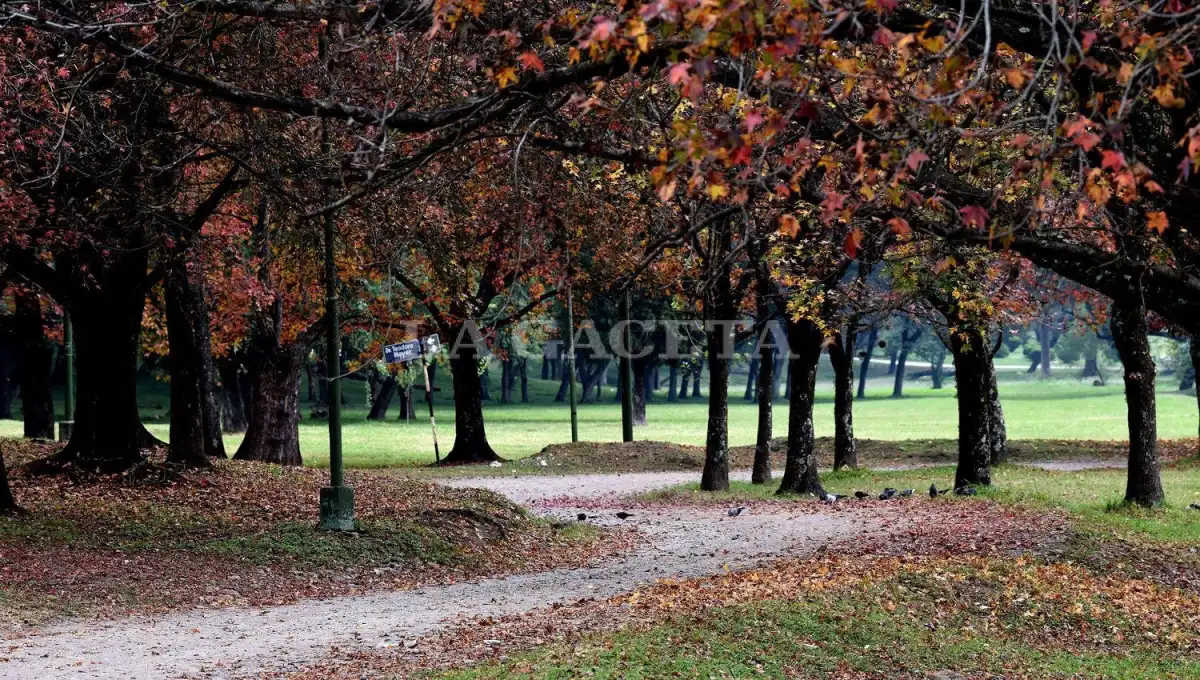 EL TIEMPO EN TUCUMÁN: menos frío, pero con probabilidades de lluvia. Así arranca Junio. 