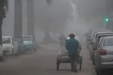 Alerta por niebla intensa y lluvias persistentes: cuáles son las provincias afectadas este domingo