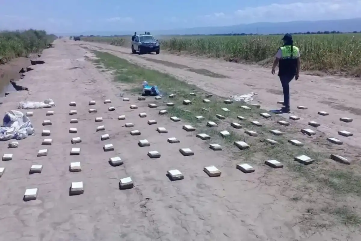 SORPRESA EN TACO RALO. La causa del bombardeo de marihuana detectado en esa localidad fue archivada porque era droga sin THC.