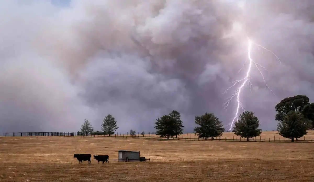 Los efectos de El Niño en la Argentina. 