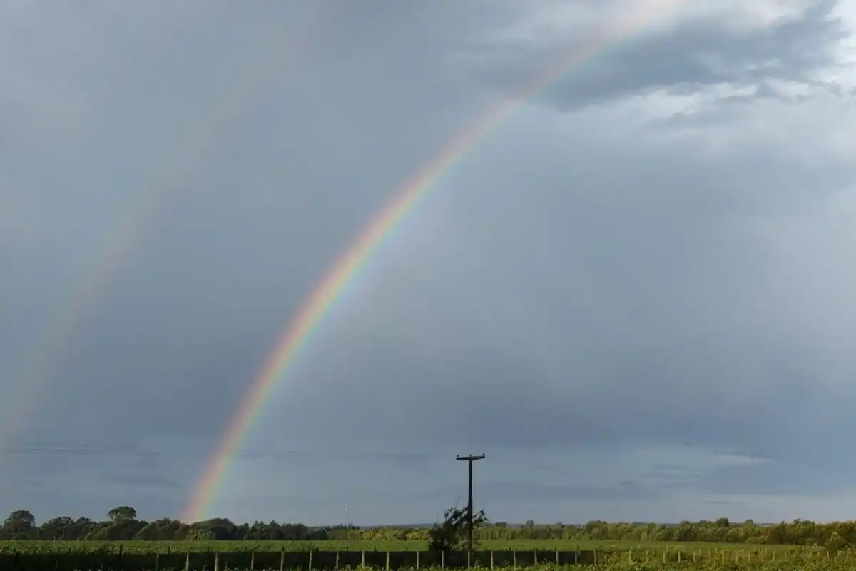 El Niño en Argentina: el fenómeno que podría alterar el invierno de 2026