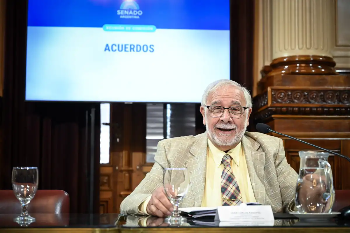 Presidente de la Comisión de Acuerdos, Juan Carlos Pagotto. SENADO